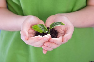 Child holding a plant